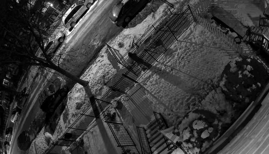 Reolink Camera Two_01_Reolink Home Hub One_20260129184205.jpg